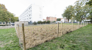 Un patrimoine engagé face aux enjeux climatiques