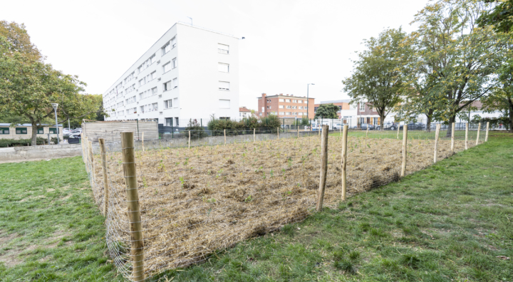 Un patrimoine engagé face aux enjeux climatiques