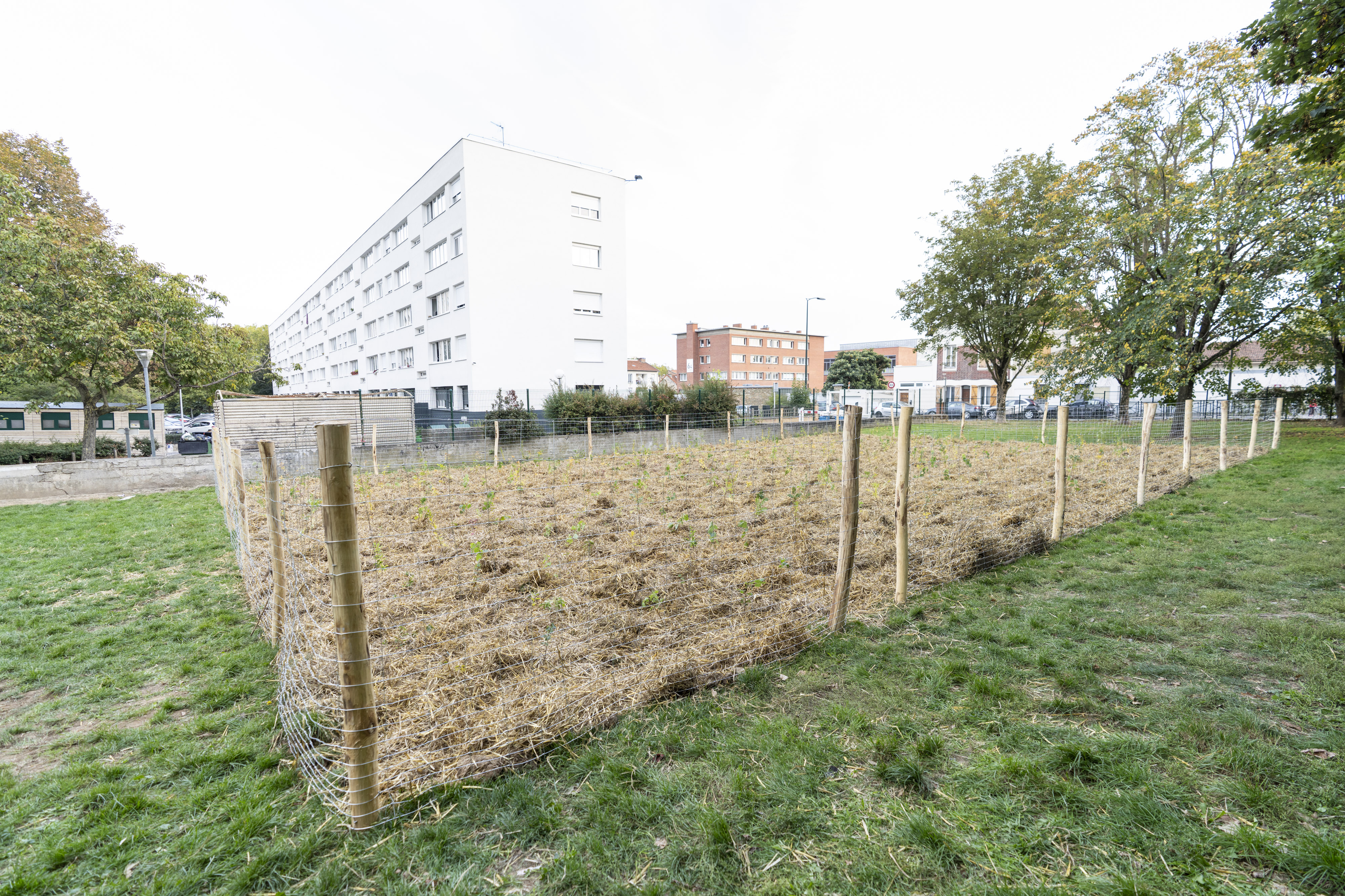 Un patrimoine engagé face aux enjeux climatiques