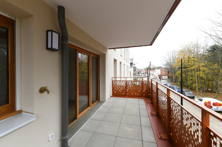 2, rue Rachel Carcon 78.Voisins le Bretonneux le 06/11/2024